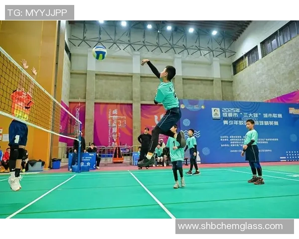 成都排球队在精英赛中的状态分析与表现评估